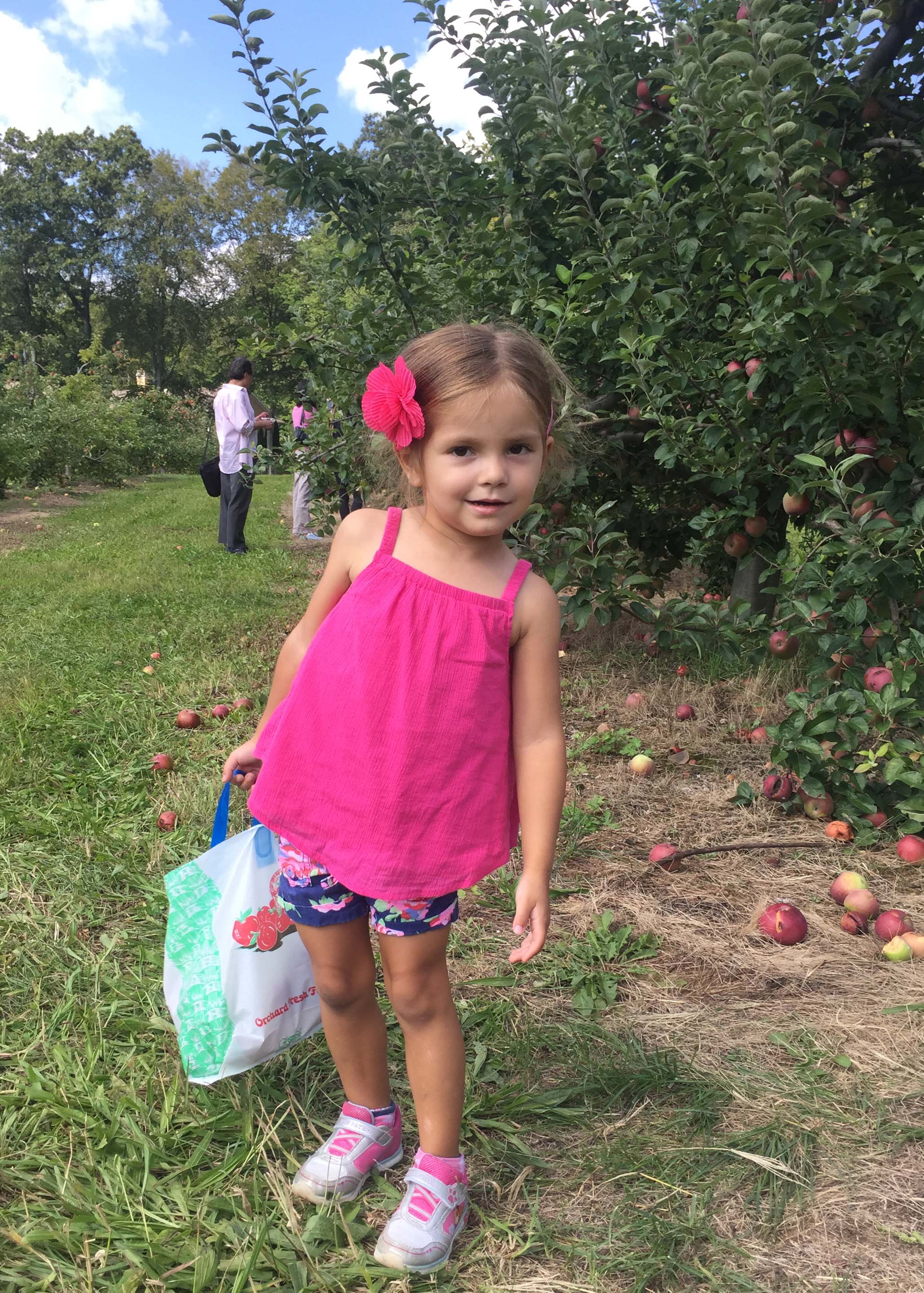 Ten Reasons We Like Apple Picking at Demarest Farms - Latina Mom in NYC